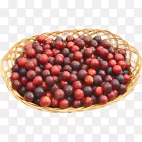 普通李子图标-枣-空若网 普通李子图标-枣-空若网