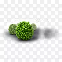 灌木园果园-空若网 灌木园果园-空若网