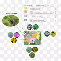 动物字体设计-空若网 动物字体设计-空若网