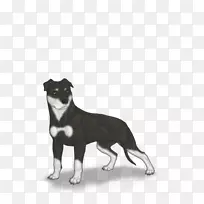 犬种鼻窝公牛-空若网 犬种鼻窝公牛-空若网