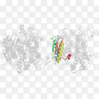 平面设计车身首饰.设计-空若网 平面设计车身首饰.设计-空若网
