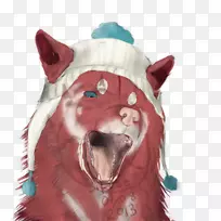 加拿大爱斯基摩犬-空若网 加拿大爱斯基摩犬-空若网