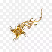 金三叶草-空若网 金三叶草-空若网