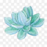 iphone-肉质-空若网 iphone-肉质-空若网