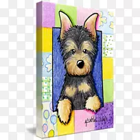 约克郡小猎犬凯恩猎犬培育玩具狗画-澳大利亚丝质猎犬-空若网 约克郡小猎犬凯恩猎犬培育玩具狗画-澳大利亚丝质猎犬-空若网