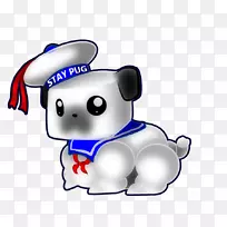 犬科动物小猫鼻子-小猫-空若网 犬科动物小猫鼻子-小猫-空若网