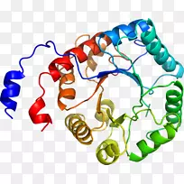 人体首饰有机体线剪贴画线-空若网 人体首饰有机体线剪贴画线-空若网