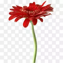 »¨Çл¨-¿ÕÈôÍø »¨Çл¨-¿ÕÈôÍø