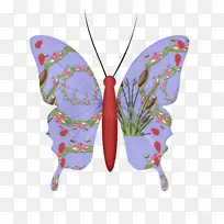 毛茸茸的蝴蝶博客-痛楚巧克力-空若网 毛茸茸的蝴蝶博客-痛楚巧克力-空若网