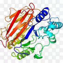 人体珠宝线有机体剪贴画线-空若网 人体珠宝线有机体剪贴画线-空若网
