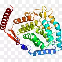 人体首饰有机体线剪贴画线-空若网 人体首饰有机体线剪贴画线-空若网