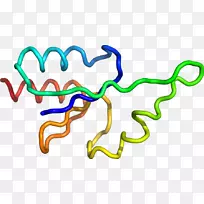 ���������л����߼�������-������