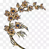 角昆虫叶角-空若网 角昆虫叶角-空若网