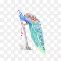 羽毛水彩画孔雀-空若网 羽毛水彩画孔雀-空若网