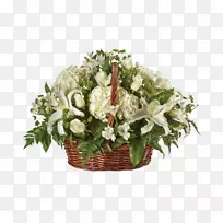 ������ƻ����л����컨-������