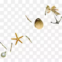 剪贴画-海星-空若网 剪贴画-海星-空若网