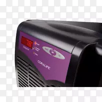 电子多媒体.海洋无脊椎动物-空若网 电子多媒体.海洋无脊椎动物-空若网