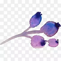 水彩画-浪漫的紫色浆果水彩-空若网 水彩画-浪漫的紫色浆果水彩-空若网