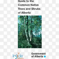 ��ѧˮ��Դ��Ŀ����Ⱥ��-��ѧ-������