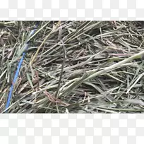 西菲尔德草捆马匹-空若网 西菲尔德草捆马匹-空若网
