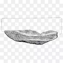 �Ƕ������-������