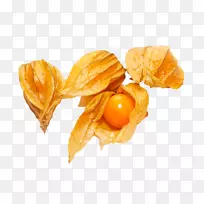 秘鲁樱桃果、浆果、素食-食物-空若网 秘鲁樱桃果、浆果、素食-食物-空若网