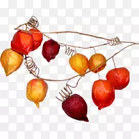 封装PostScript剪贴画-空若网 封装PostScript剪贴画-空若网