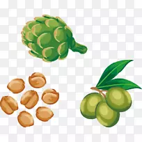 Auglis����-�ֻ��߲����-������