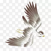 鸟飞水彩画.水彩画飞鸟-空若网 鸟飞水彩画.水彩画飞鸟-空若网