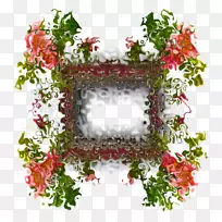 花卉设计花盆叶开花植物-2016迈凯轮570-空若网 花卉设计花盆叶开花植物-2016迈凯轮570-空若网