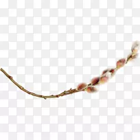 人体珠宝项链-珠宝-空若网 人体珠宝项链-珠宝-空若网