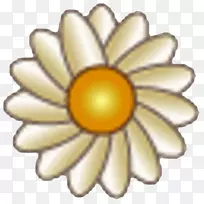 材料-空若网 材料-空若网