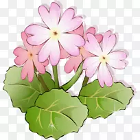 花摄影郁金香花瓣-花-空若网 花摄影郁金香花瓣-花-空若网