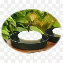 ����˹��������Ϥ�����֮��-��Ƥ���¡�������˹-������