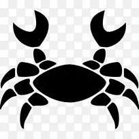 癌症占星学星座占星学符号占星术-空若网 癌症占星学星座占星学符号占星术-空若网