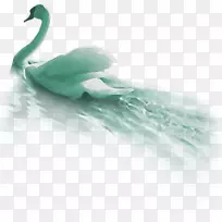 鸭绿色羽毛嘴壁纸-鹅-空若网 鸭绿色羽毛嘴壁纸-鹅-空若网