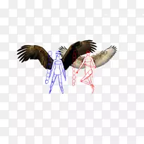 ʳ������ë����-������