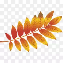 秋叶-秋叶材料自由拉力效应-空若网 秋叶-秋叶材料自由拉力效应-空若网