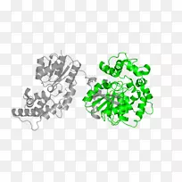 ��־����������-������