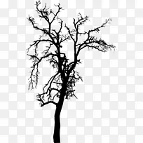 树枝轮廓树-剪影-空若网 树枝轮廓树-剪影-空若网