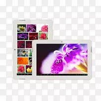 ������ý�弼��-������