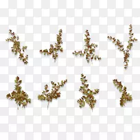 ÖÐÐIJ©¿Í±àÖ¯¹³ÕëLiveInternet-¿ÕÈôÍø ÖÐÐIJ©¿Í±àÖ¯¹³ÕëLiveInternet-¿ÕÈôÍø