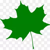 自然摄影克什米尔摄影记者-摄影师-空若网 自然摄影克什米尔摄影记者-摄影师-空若网