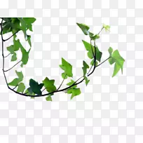 �������������-������