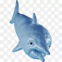 鲨鱼胶糖明胶甜点视频-鲨鱼-空若网 鲨鱼胶糖明胶甜点视频-鲨鱼-空若网