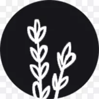 植物白色字体-植物-空若网 植物白色字体-植物-空若网