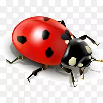 À¥³æÆ°³æ¼ôÌù».ºìÉ«¼ò»¯Æ°³æ-¿ÕÈôÍø À¥³æÆ°³æ¼ôÌù».ºìÉ«¼ò»¯Æ°³æ-¿ÕÈôÍø