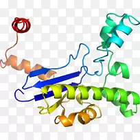 人体首饰有机体线剪贴画线-空若网 人体首饰有机体线剪贴画线-空若网