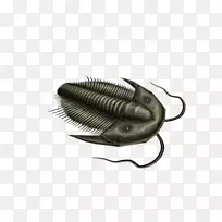 ����-����-������