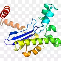 人体首饰有机体线剪贴画线-空若网 人体首饰有机体线剪贴画线-空若网